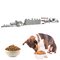 خط پردازش غذای خشک حیوانات خانگی برای تولید اکسترودر غذای سگ
